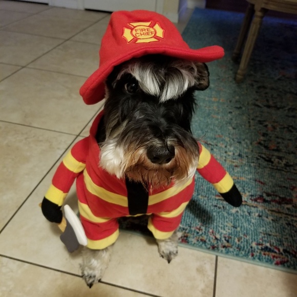 are you having your best day possible? - Picture 12 of 15